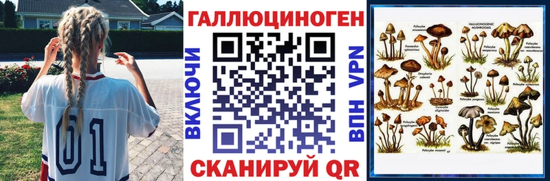MEGA сайт что такое наркотик Грязовец Галлюциногенные грибы Cubensis