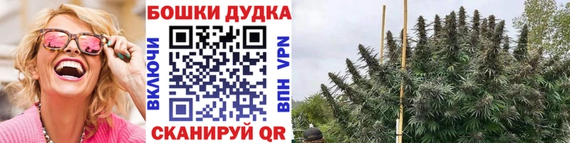 Бошки Шишки LSD WEED Грязовец